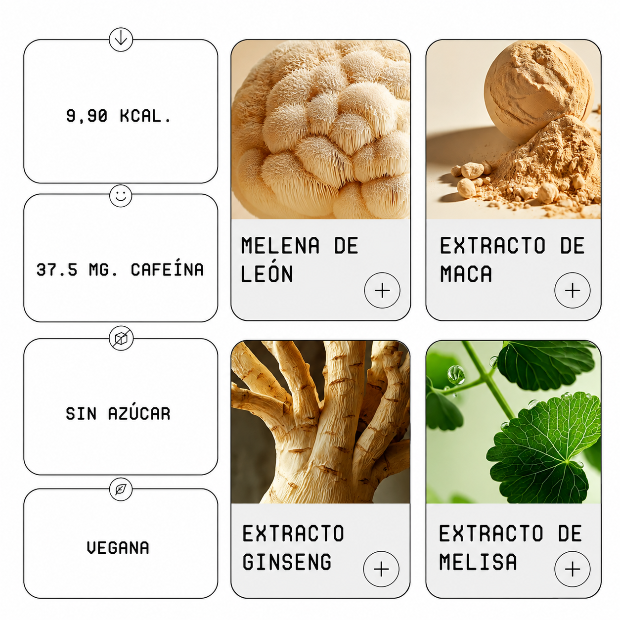 Dr. Mush Lata 33 cl. 12 UDS - Imagen 2