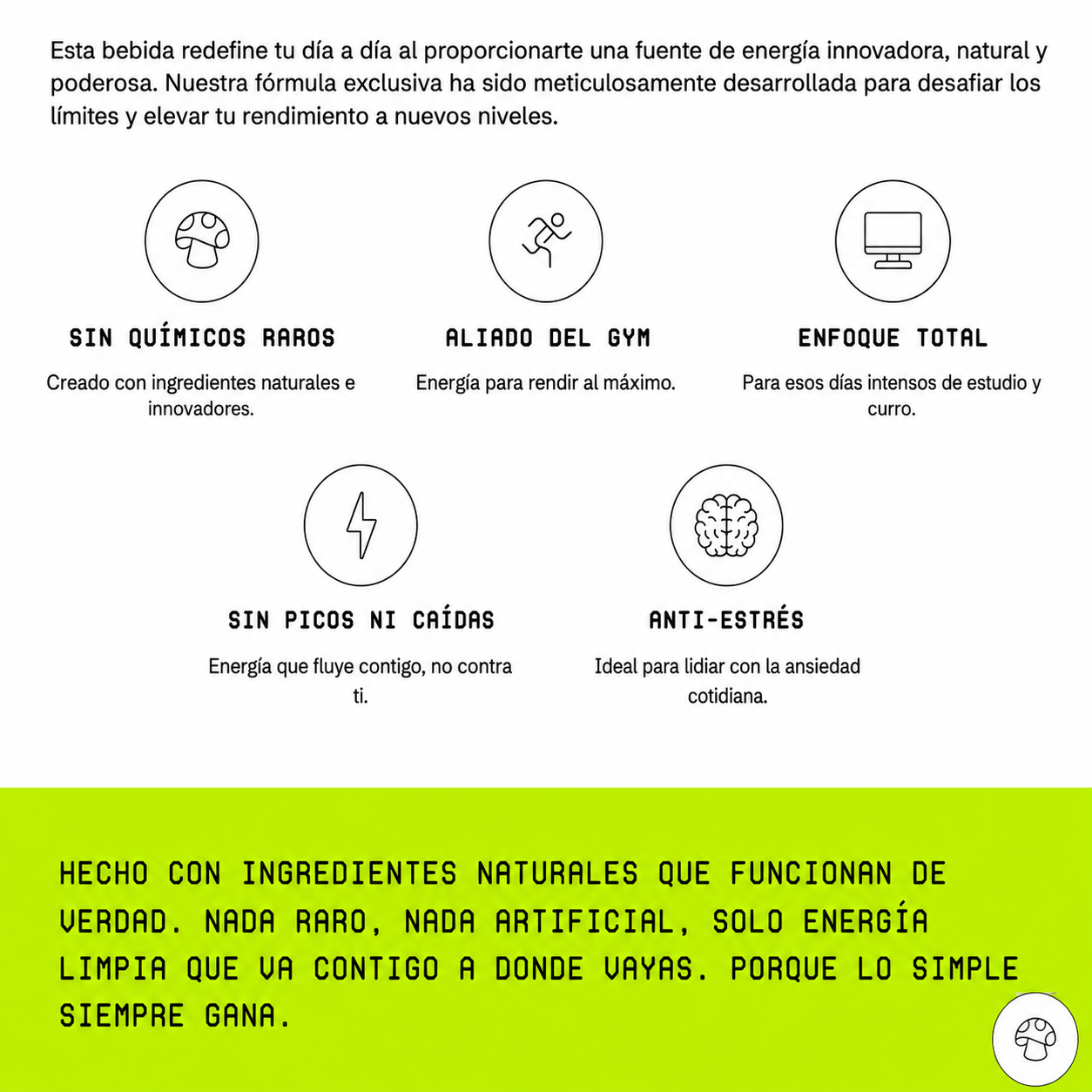 Dr. Mush Lata 33 cl. 12 UDS - Imagen 4