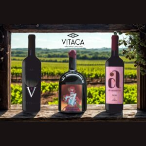 Vinos Vitaca